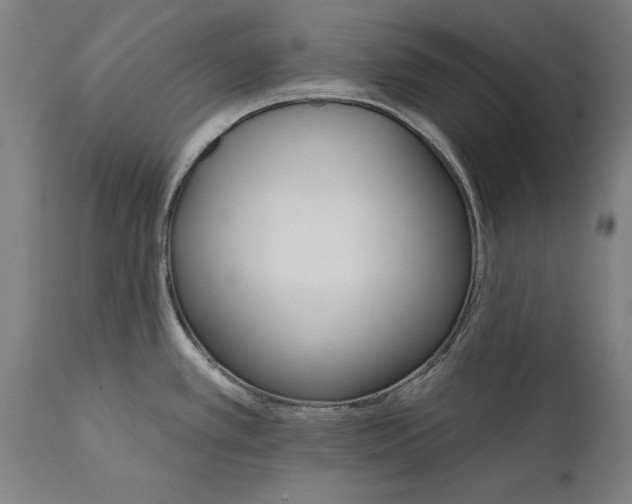 X0000111591389200908061338