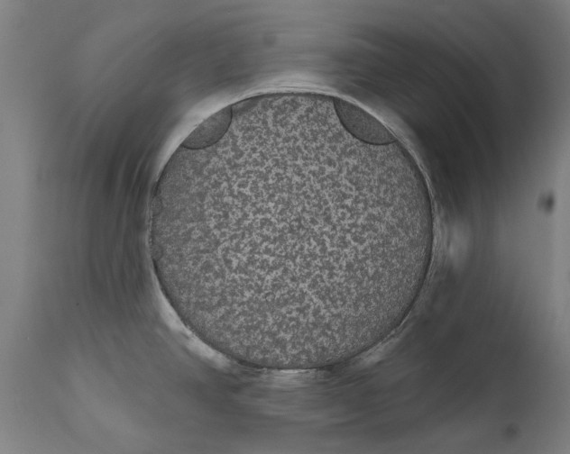 X0000111591390200908061338