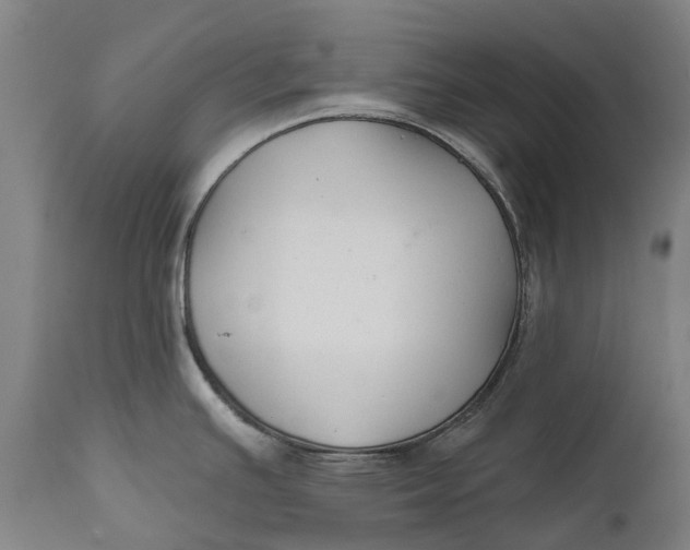 X0000111591391200908061338