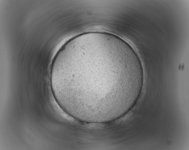 X0000111591392200908061338