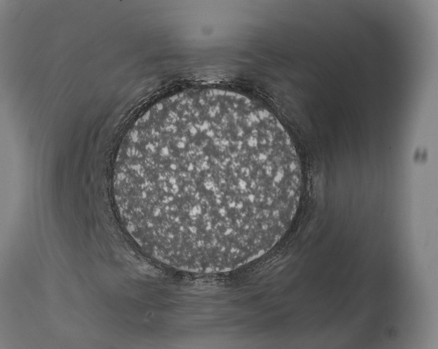 X0000111591393200908061338