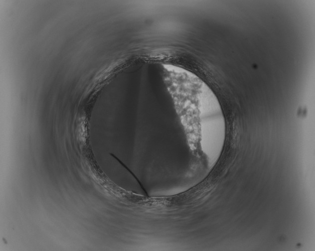 X0000111591394200908061338