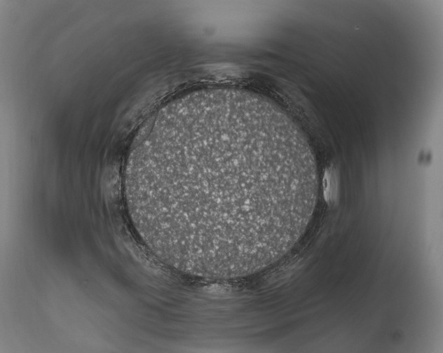 X0000111591395200908061338