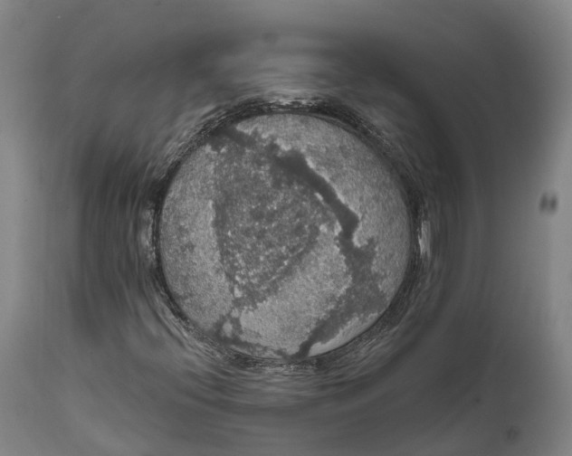 X0000111591396200908061338