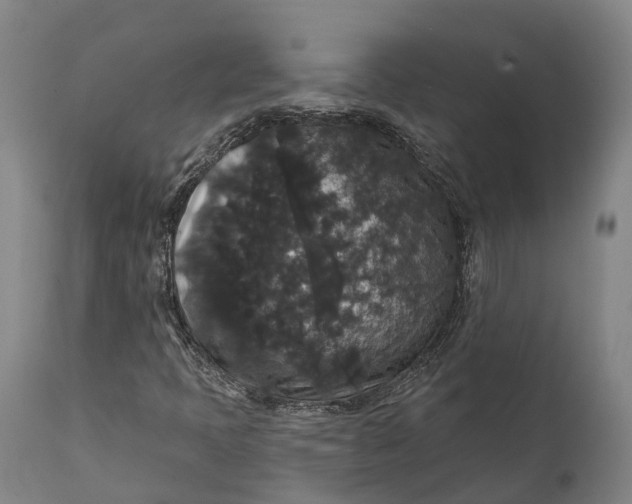 X0000111591397200908061338