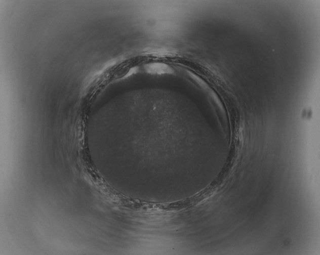 X0000111591398200908061338