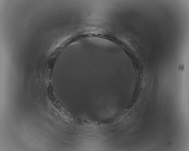 X0000111591399200908061338