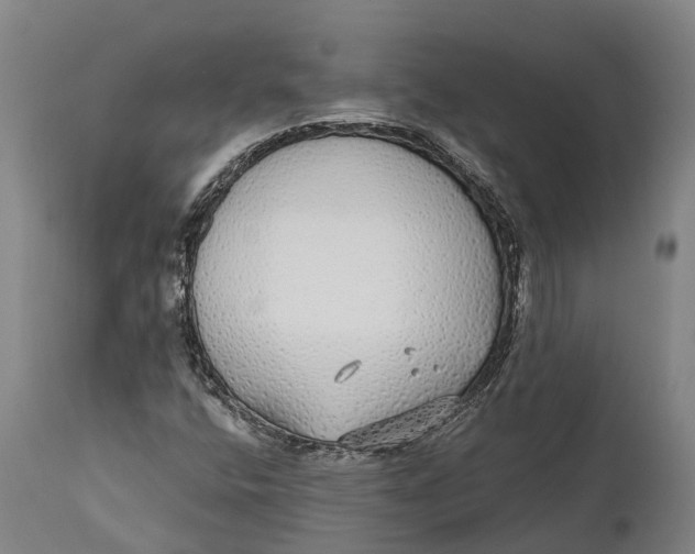 X0000111591400200908061338