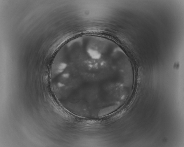 X0000111591401200908061338