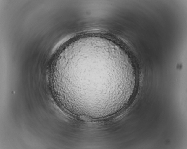 X0000111591402200908061338