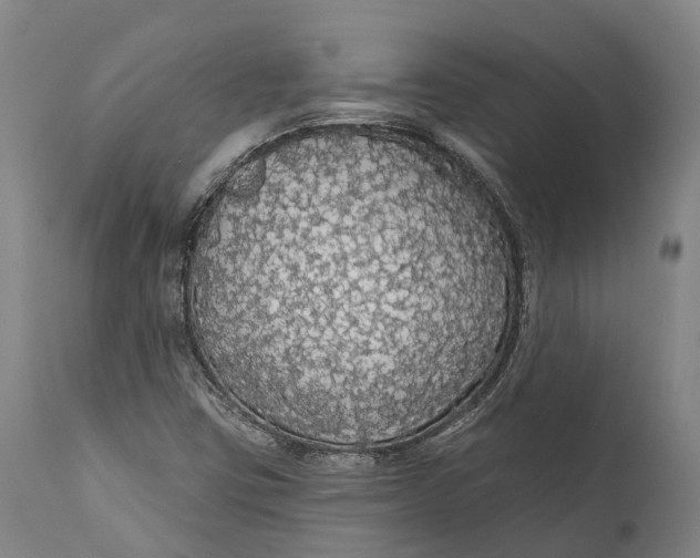 X0000111591403200908061338