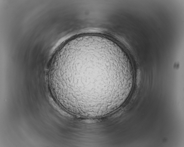 X0000111591404200908061338