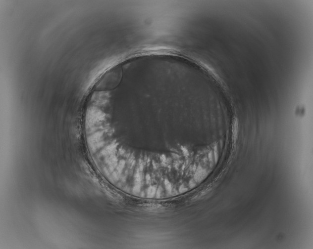 X0000111591405200908061338