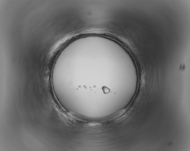 X0000111591406200908061338