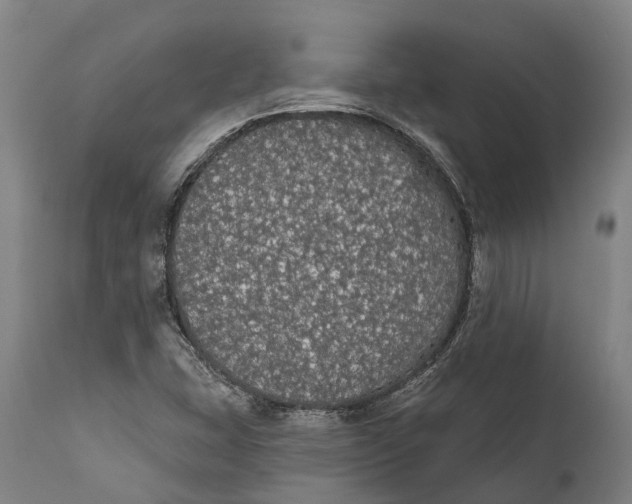 X0000111591407200908061338