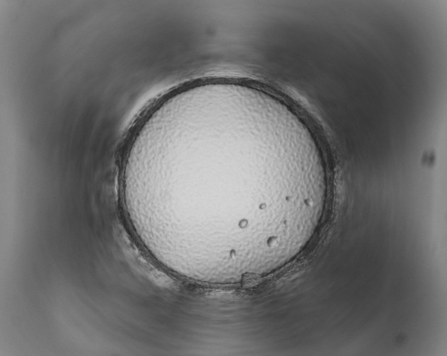 X0000111591408200908061338