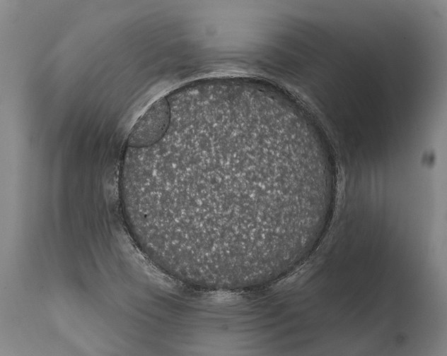 X0000111591409200908061338