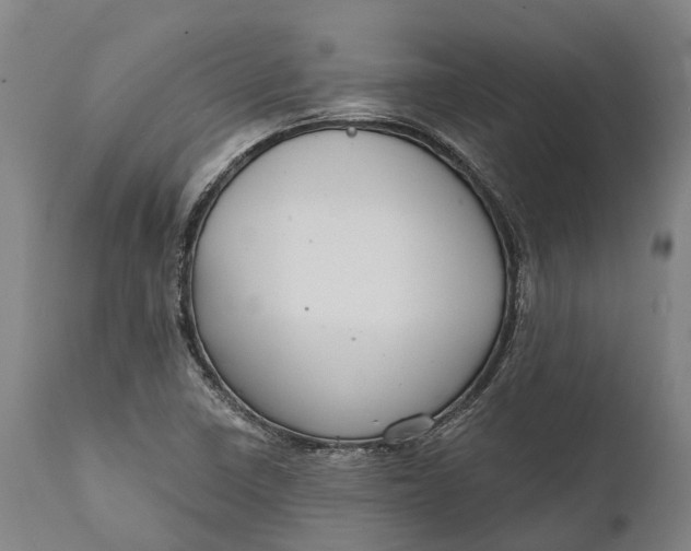 X0000111591410200908061338