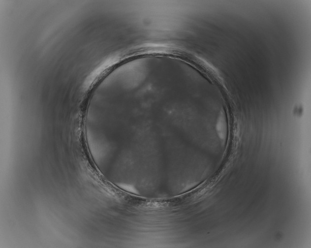 X0000111591411200908061338