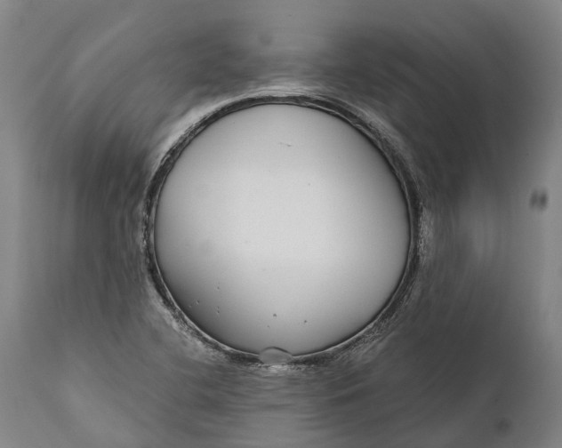 X0000111591412200908061338