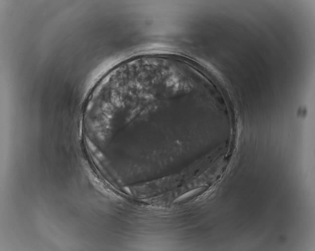 X0000111591413200908061338