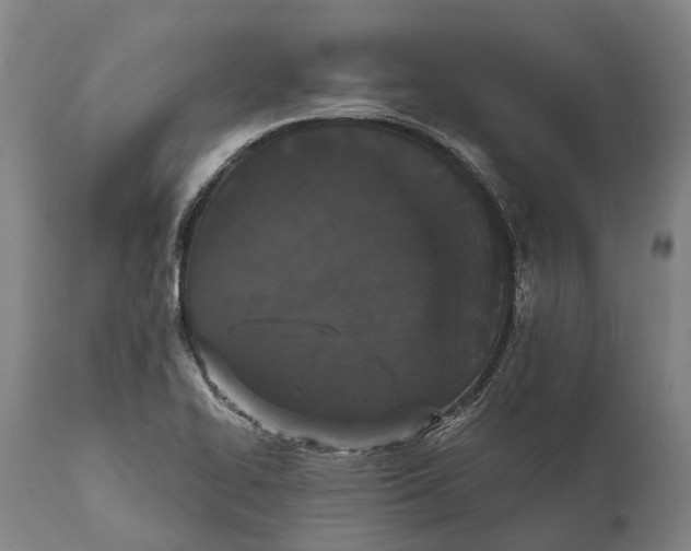 X0000111591414200908061338