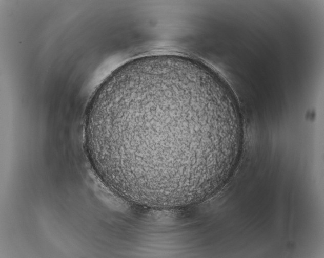 X0000111591415200908061338