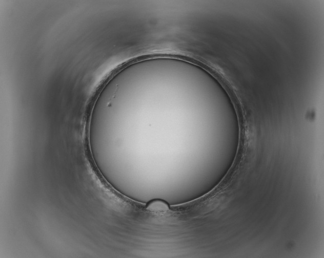 X0000111591416200908061338