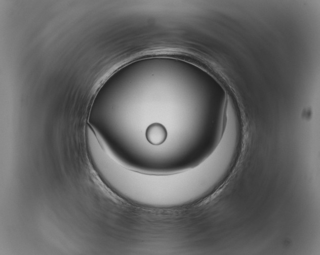 X0000111591417200908061338