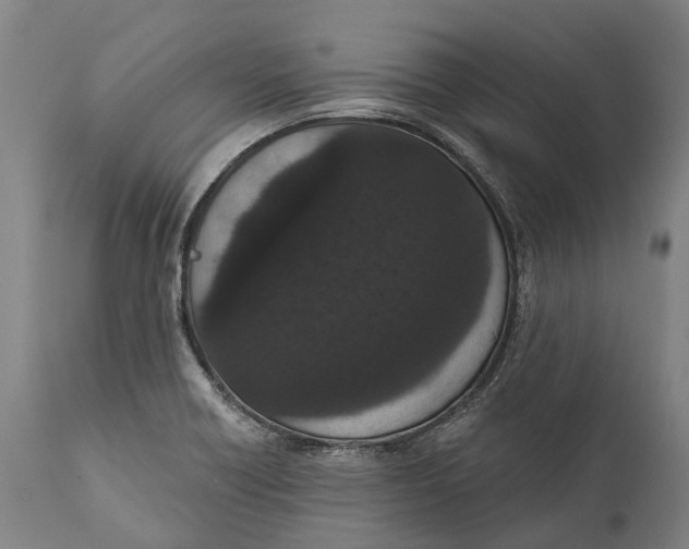 X0000111591418200908061338