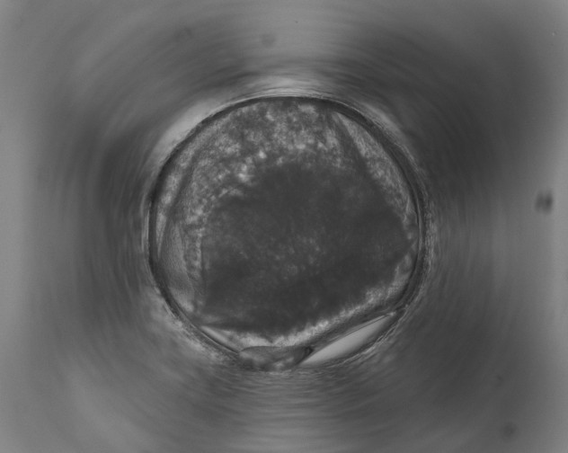 X0000111591419200908061338