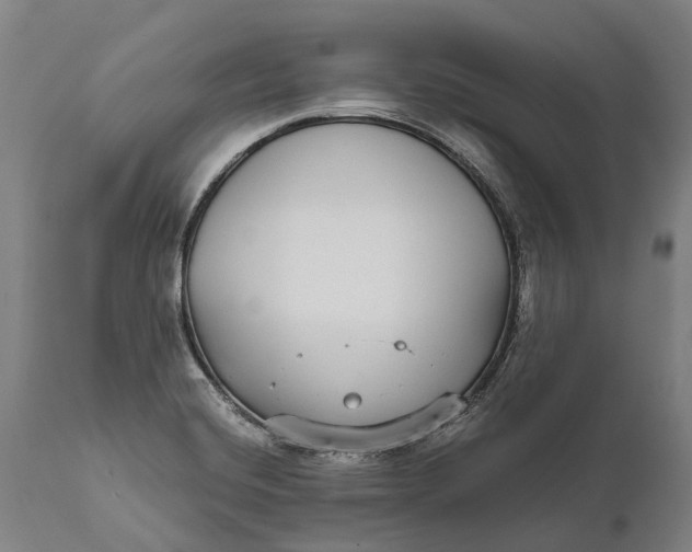 X0000111591420200908061338