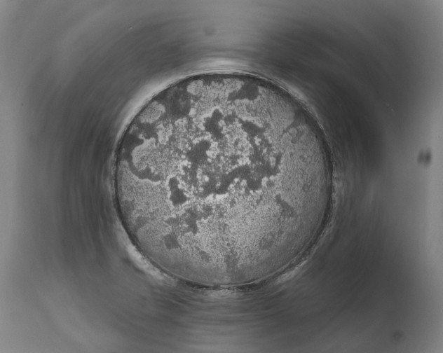 X0000111591421200908061338