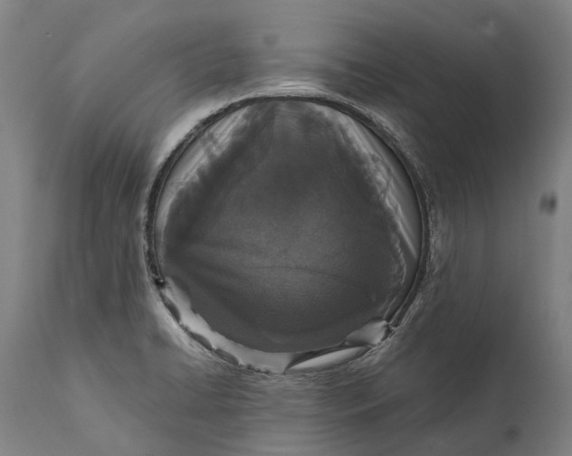 X0000111591422200908061338