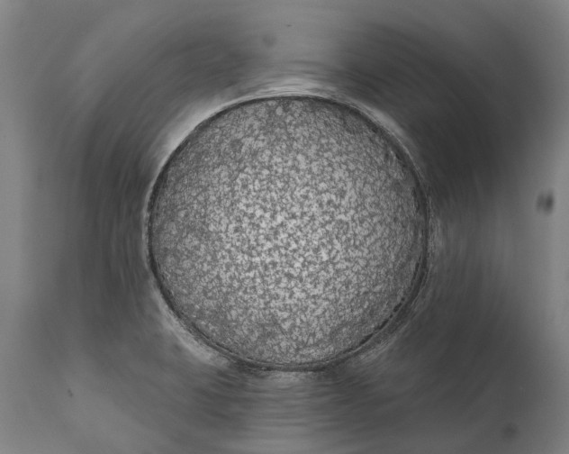 X0000111591423200908061338