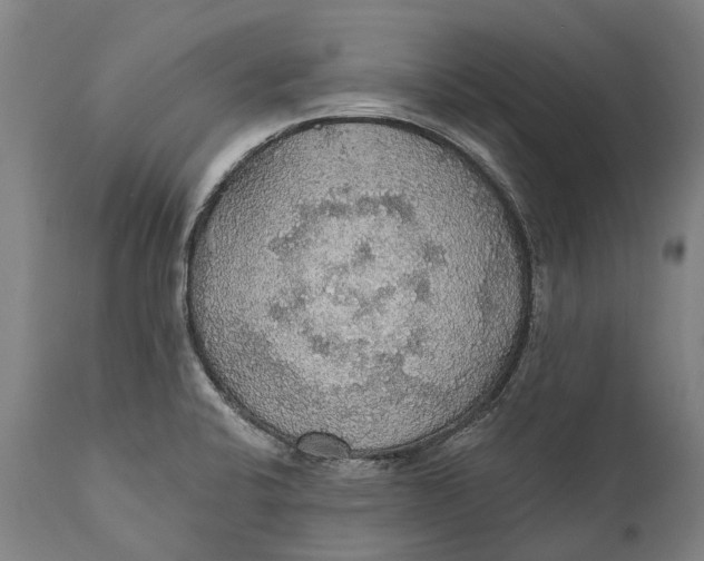 X0000111591424200908061338