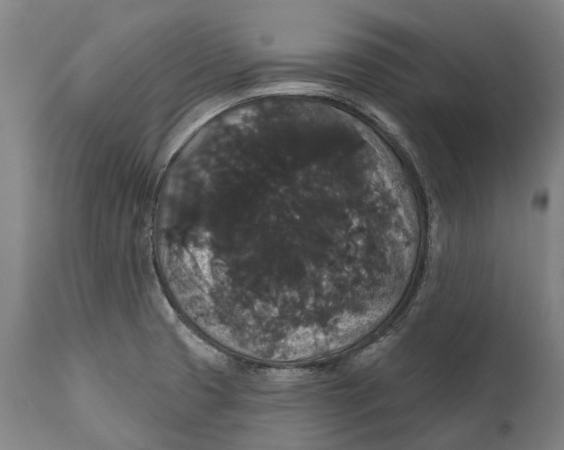 X0000111591425200908061338