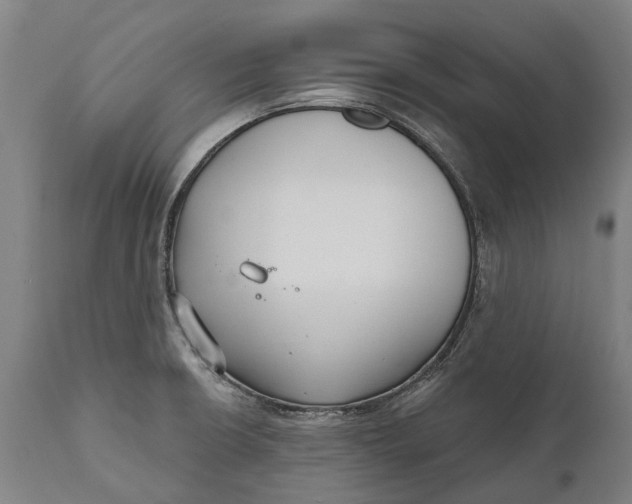 X0000111591426200908061338