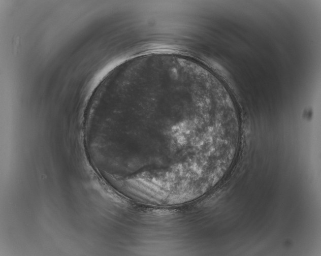 X0000111591427200908061338