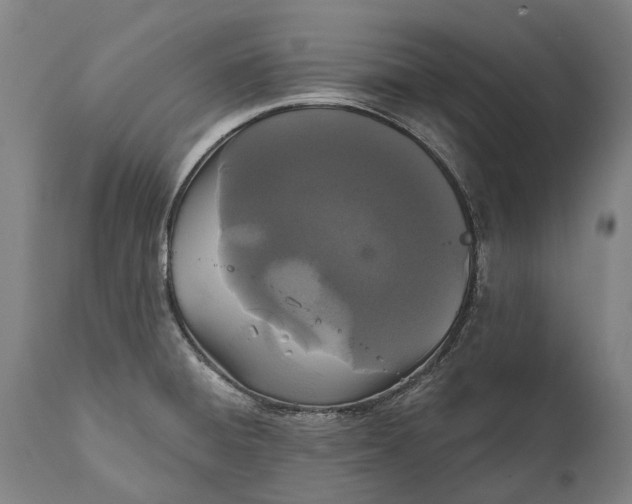 X0000111591428200908061338