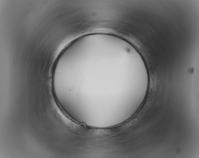 X0000111591430200908061338