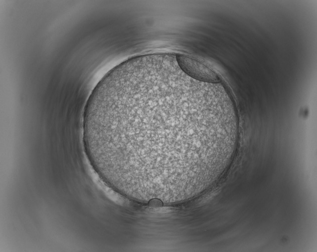 X0000111591431200908061338