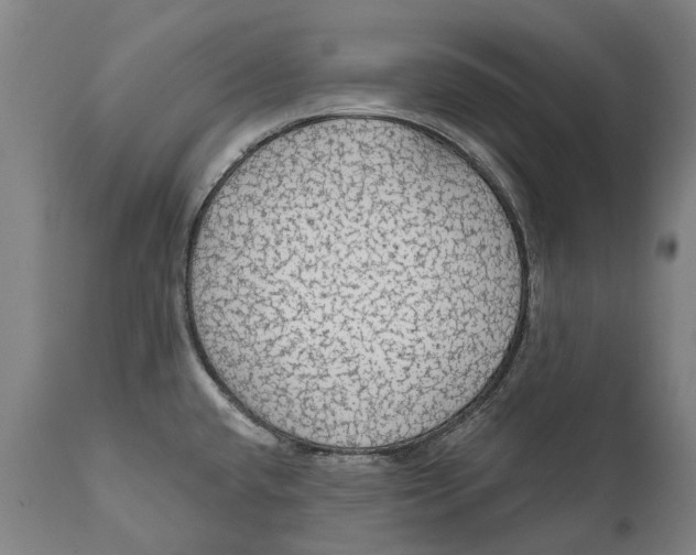 X0000111591432200908061338