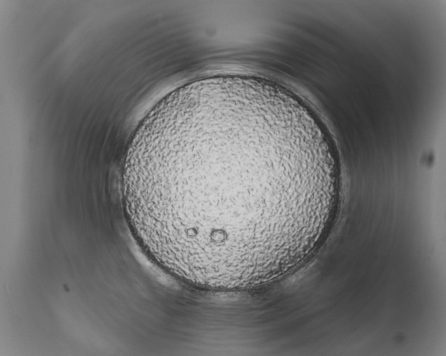 X0000111591433200908061338