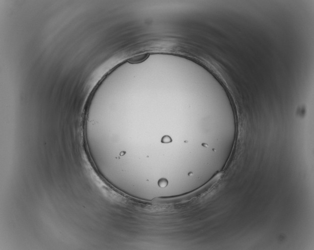 X0000111591434200908061338