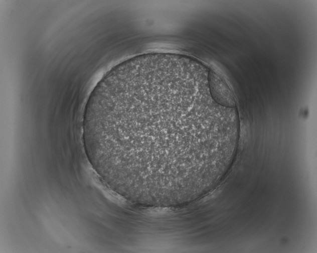 X0000111591435200908061338