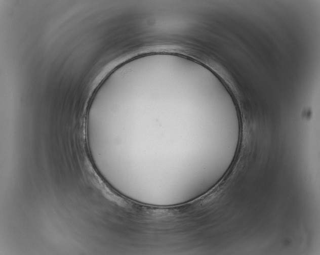 X0000111591436200908061338