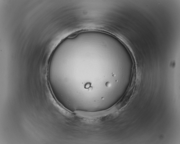 X0000111591437200908061338