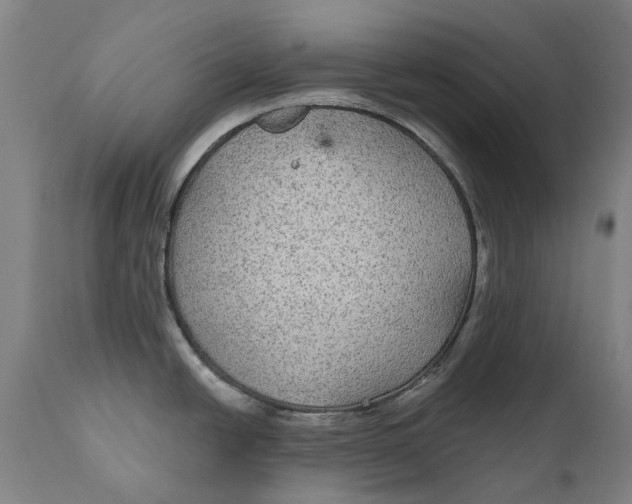 X0000111591438200908061338