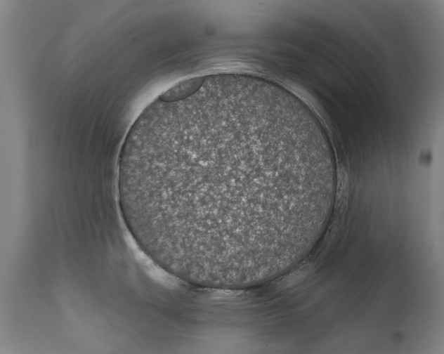 X0000111591439200908061338